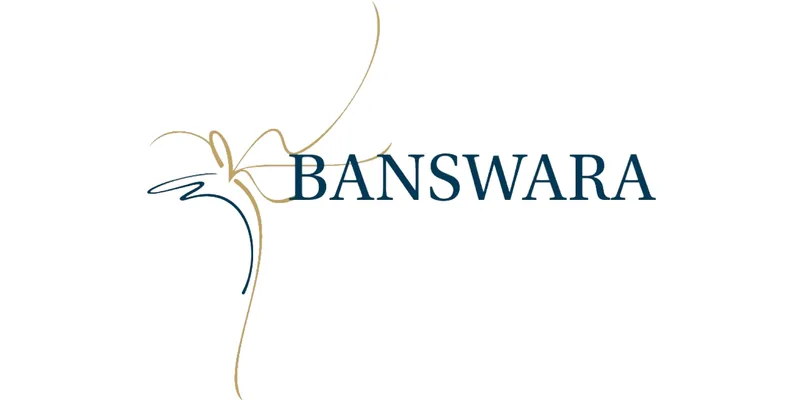 BANSWARA SYNTEX LTD